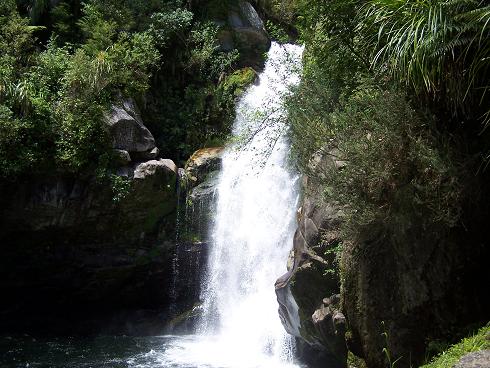 Cave Creek Nz